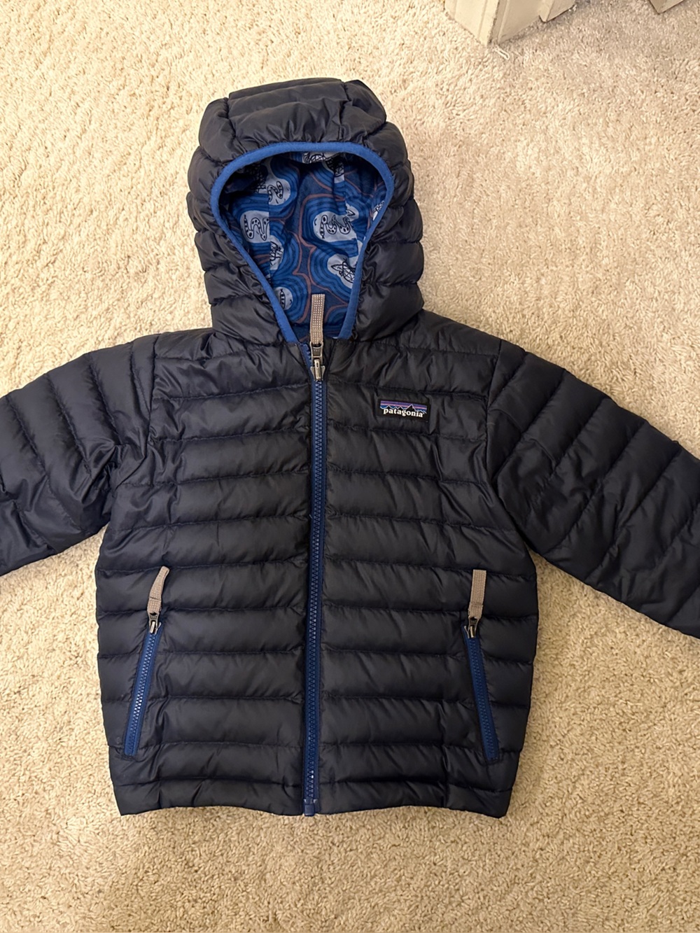 Patagonia Baby Reversible Down Sweater Hoody